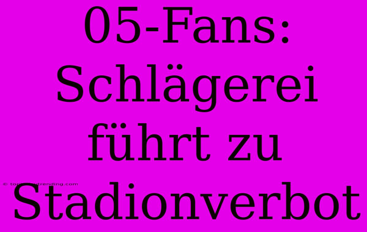 05-Fans: Schlägerei Führt Zu Stadionverbot