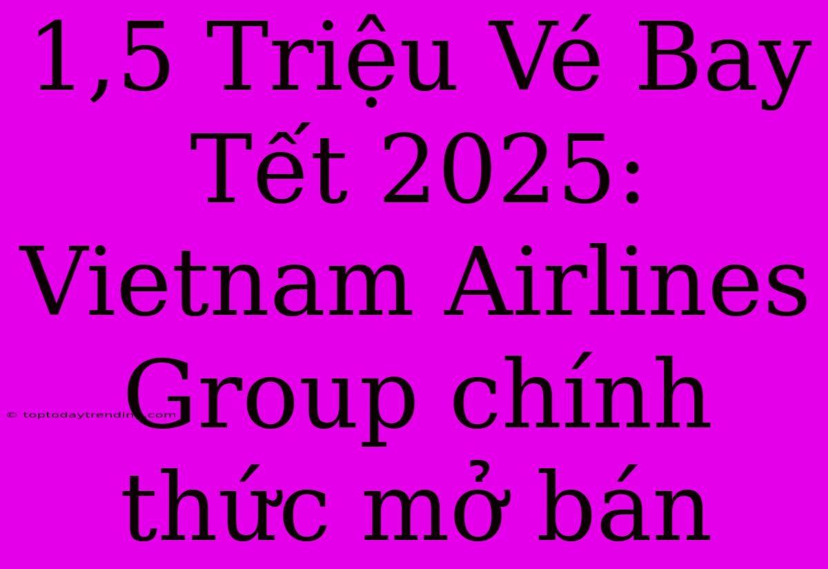 1,5 Triệu Vé Bay Tết 2025: Vietnam Airlines Group Chính Thức Mở Bán