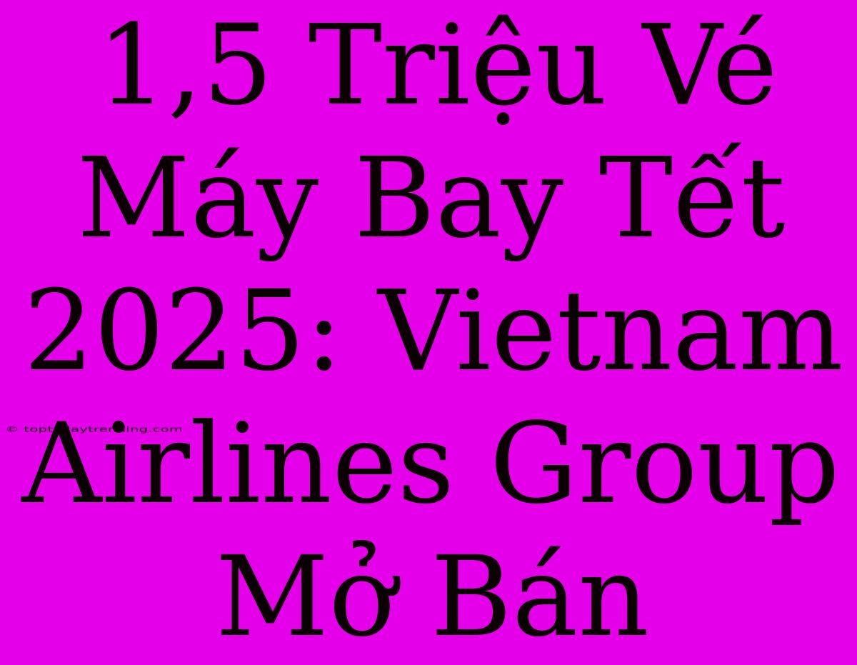 1,5 Triệu Vé Máy Bay Tết 2025: Vietnam Airlines Group Mở Bán