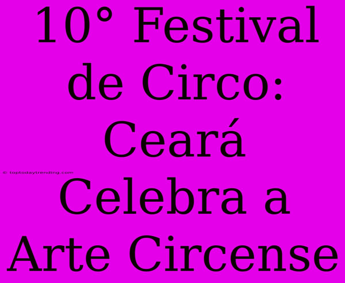 10° Festival De Circo: Ceará Celebra A Arte Circense