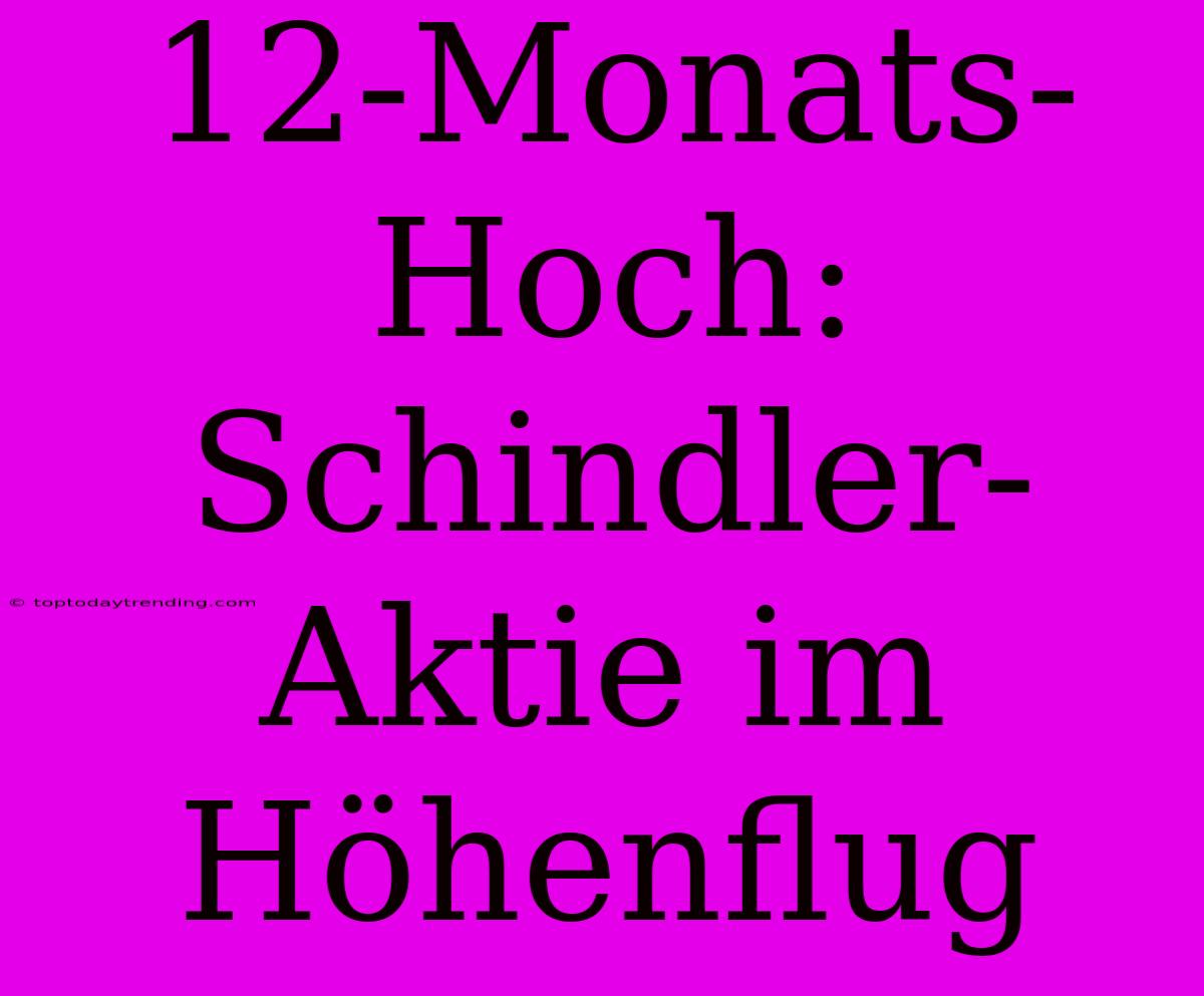 12-Monats-Hoch: Schindler-Aktie Im Höhenflug