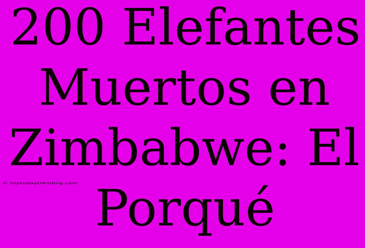 200 Elefantes Muertos En Zimbabwe: El Porqué