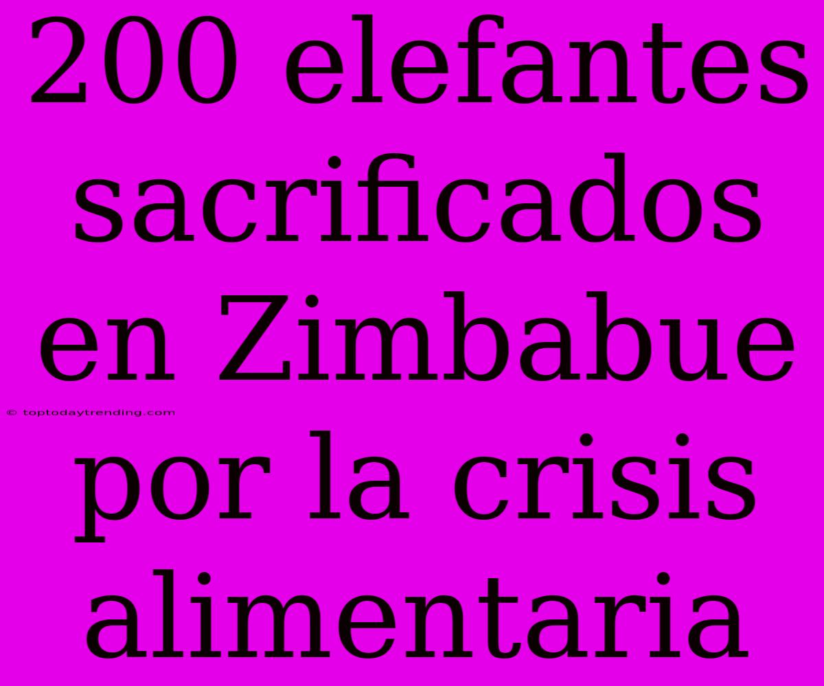 200 Elefantes Sacrificados En Zimbabue Por La Crisis Alimentaria