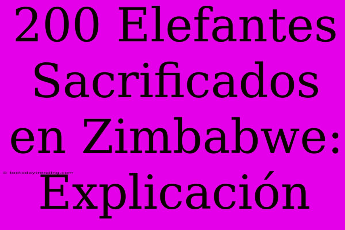 200 Elefantes Sacrificados En Zimbabwe: Explicación