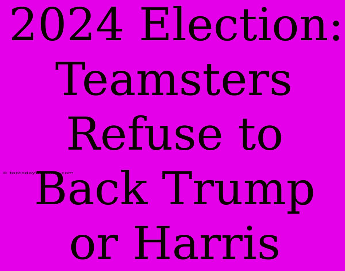 2024 Election: Teamsters Refuse To Back Trump Or Harris