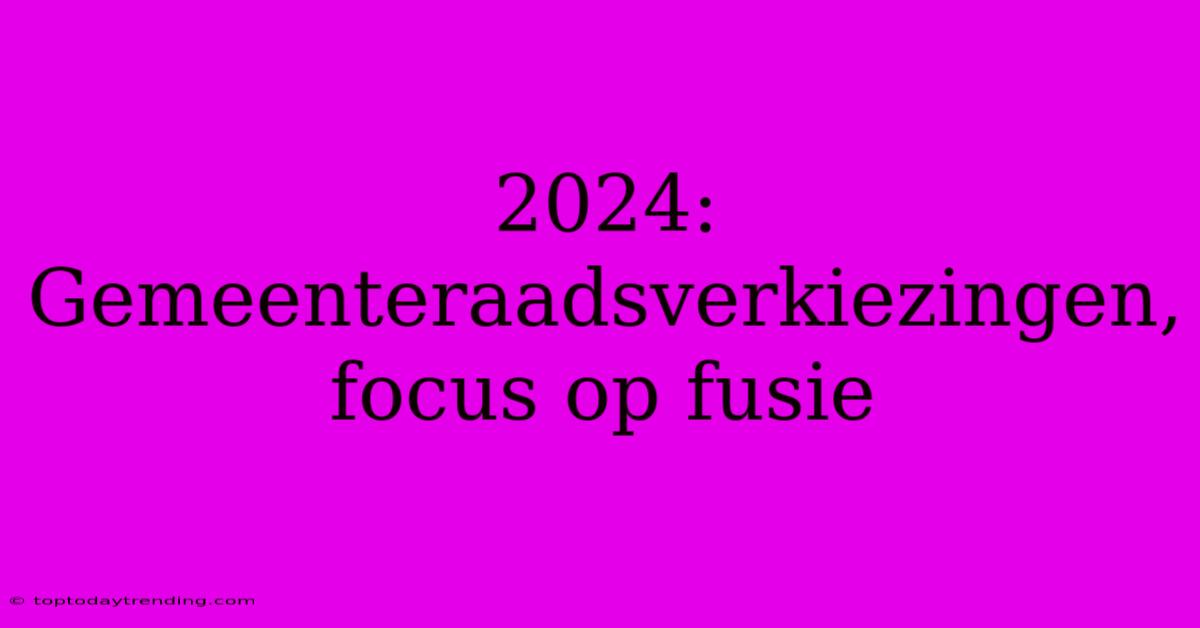 2024: Gemeenteraadsverkiezingen, Focus Op Fusie