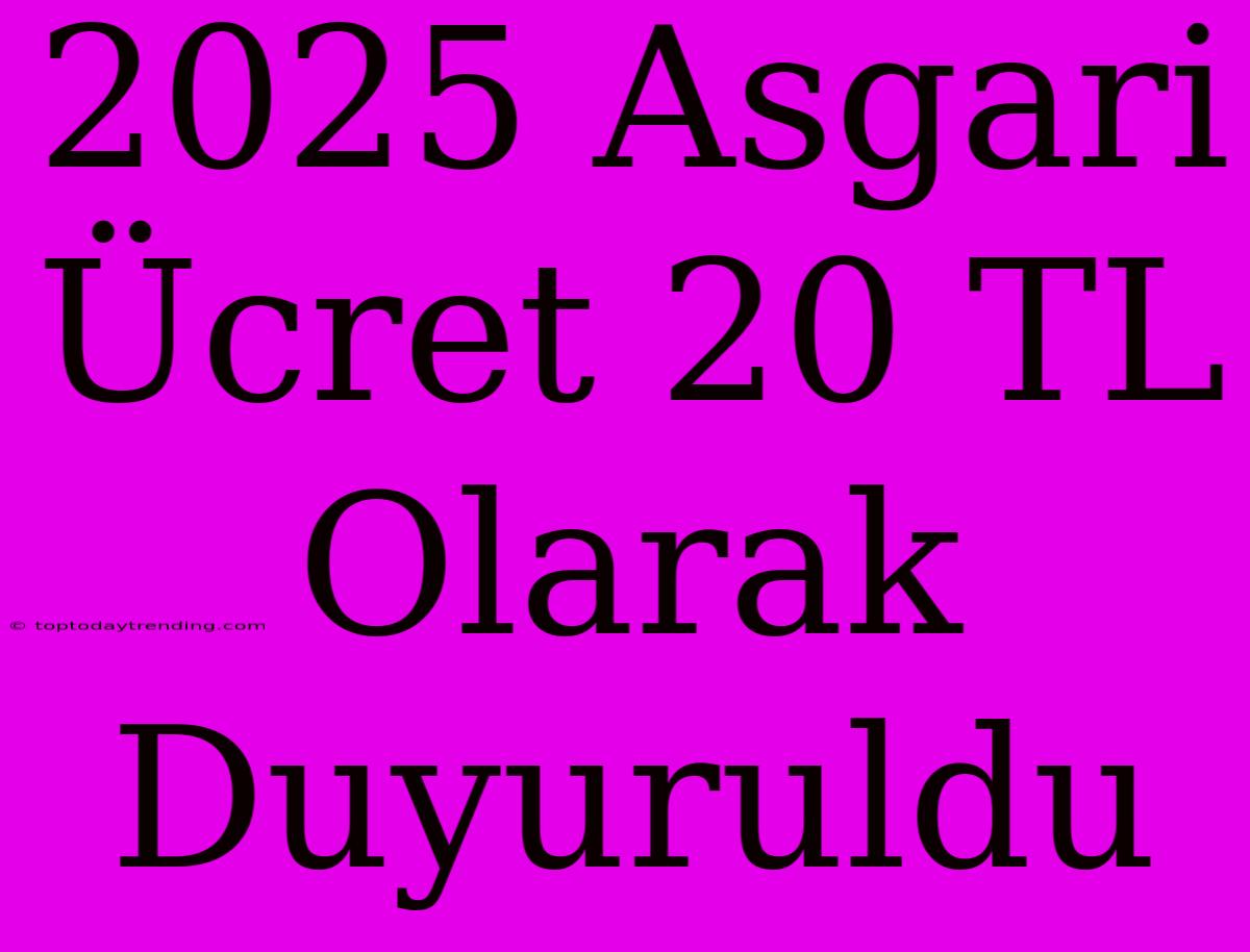 2025 Asgari Ücret 20 TL Olarak Duyuruldu