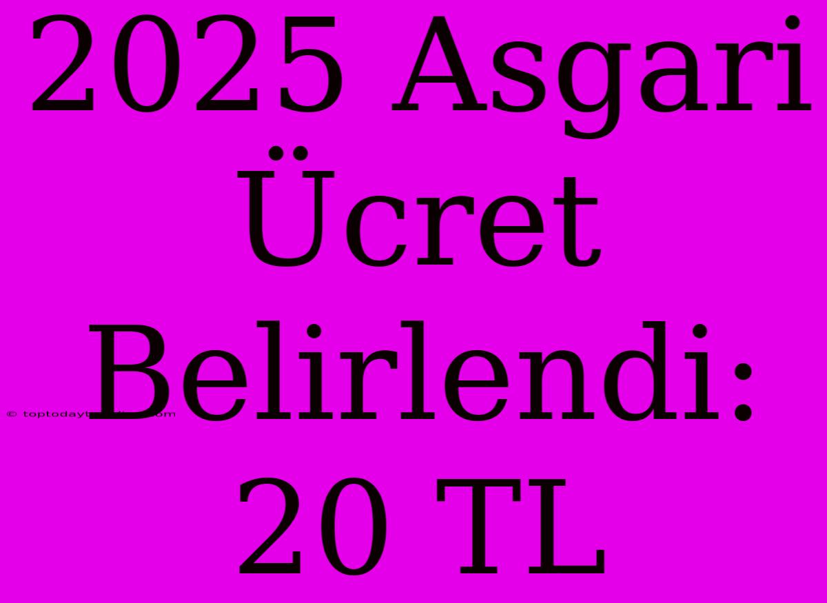 2025 Asgari Ücret Belirlendi: 20 TL