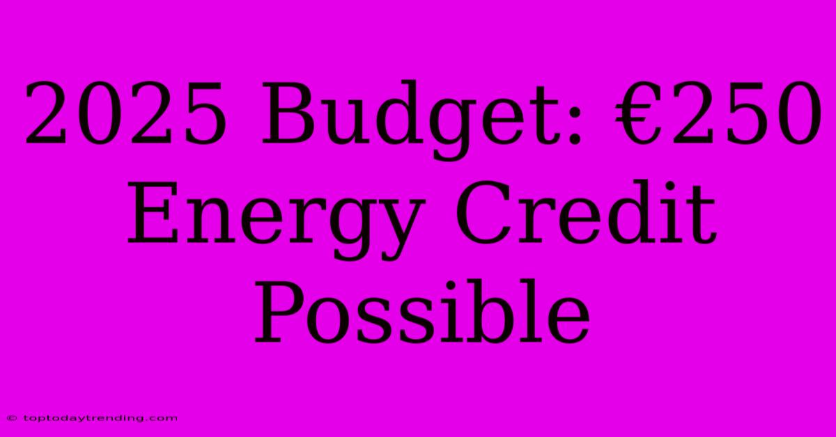 2025 Budget: €250 Energy Credit Possible