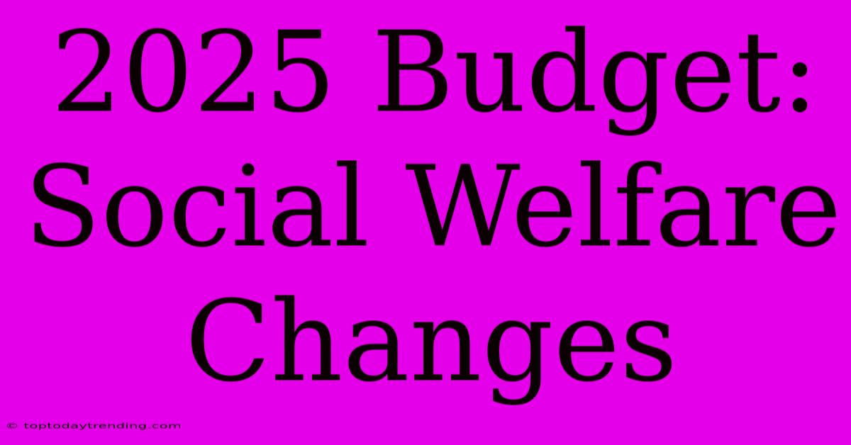 2025 Budget: Social Welfare Changes