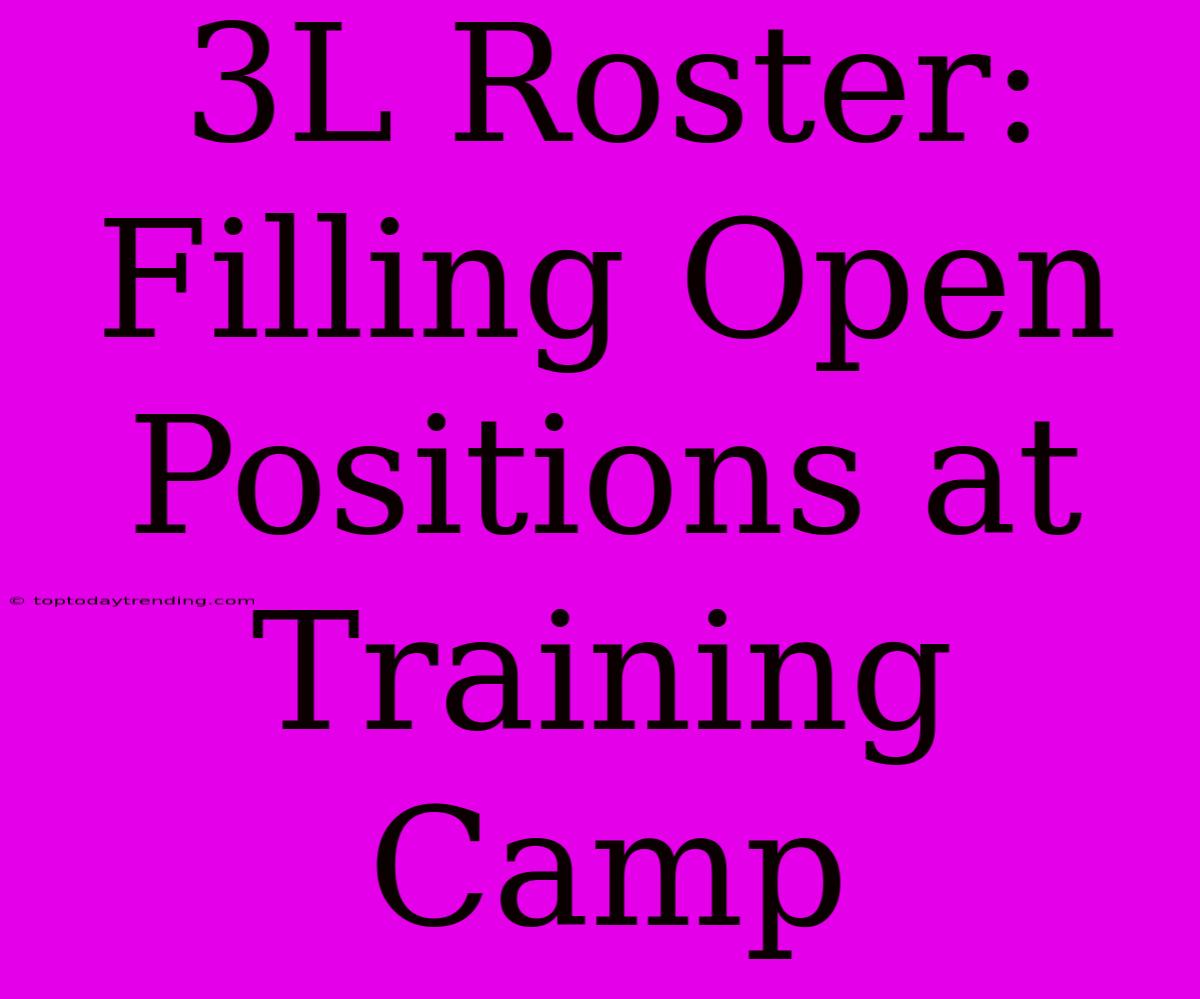 3L Roster: Filling Open Positions At Training Camp