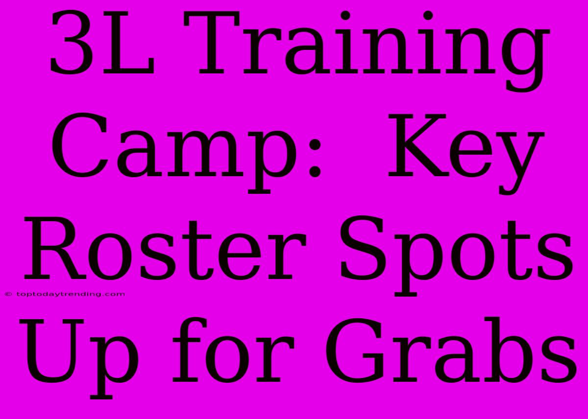 3L Training Camp:  Key Roster Spots Up For Grabs