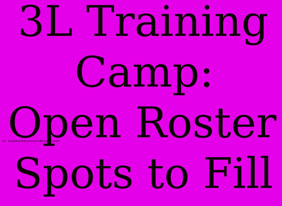 3L Training Camp:  Open Roster Spots To Fill