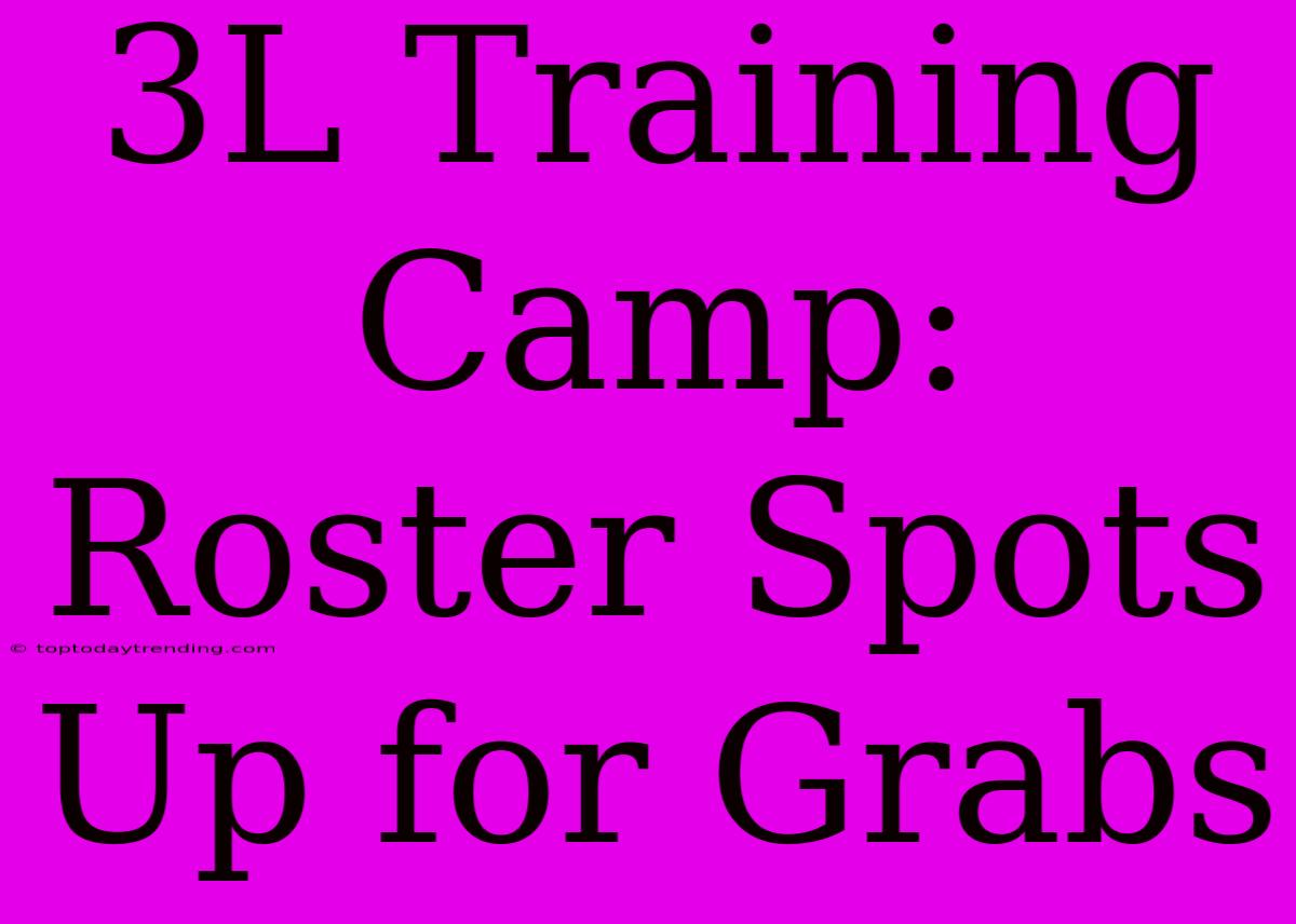 3L Training Camp:  Roster Spots Up For Grabs