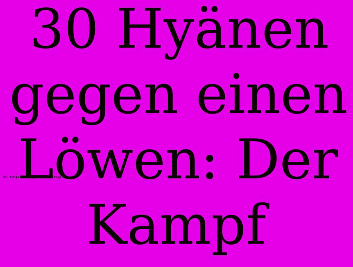 30 Hyänen Gegen Einen Löwen: Der Kampf