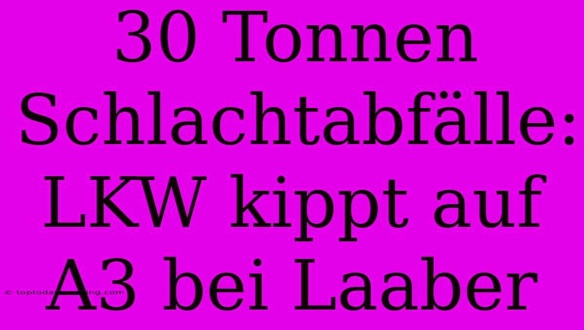 30 Tonnen Schlachtabfälle: LKW Kippt Auf A3 Bei Laaber