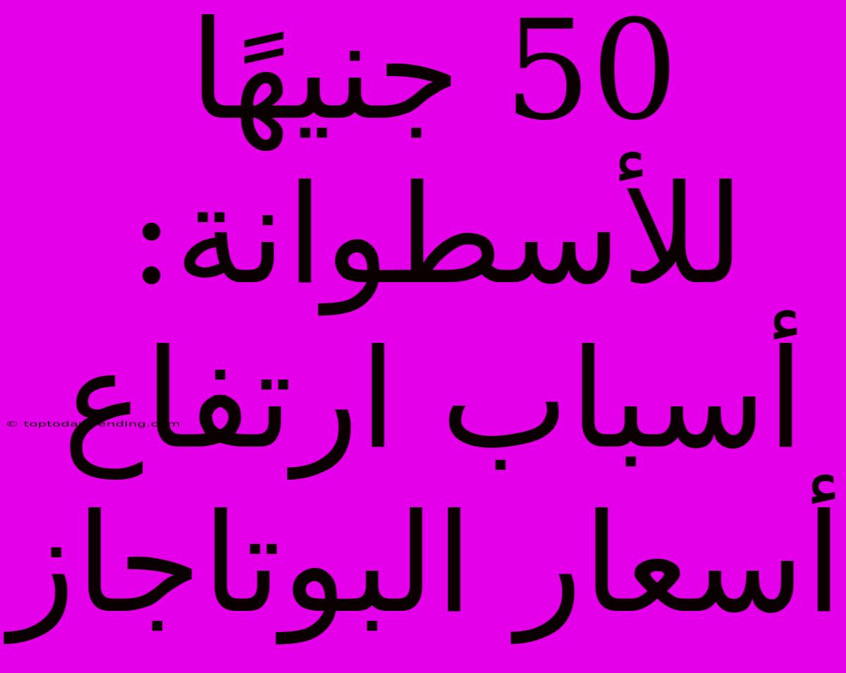 50 جنيهًا للأسطوانة: أسباب ارتفاع أسعار البوتاجاز