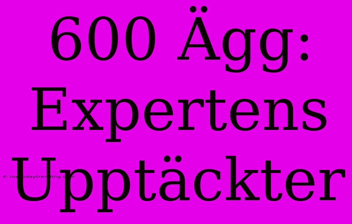 600 Ägg: Expertens Upptäckter