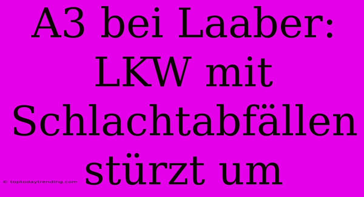 A3 Bei Laaber: LKW Mit Schlachtabfällen Stürzt Um