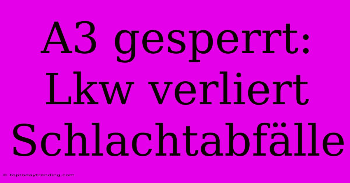 A3 Gesperrt: Lkw Verliert Schlachtabfälle