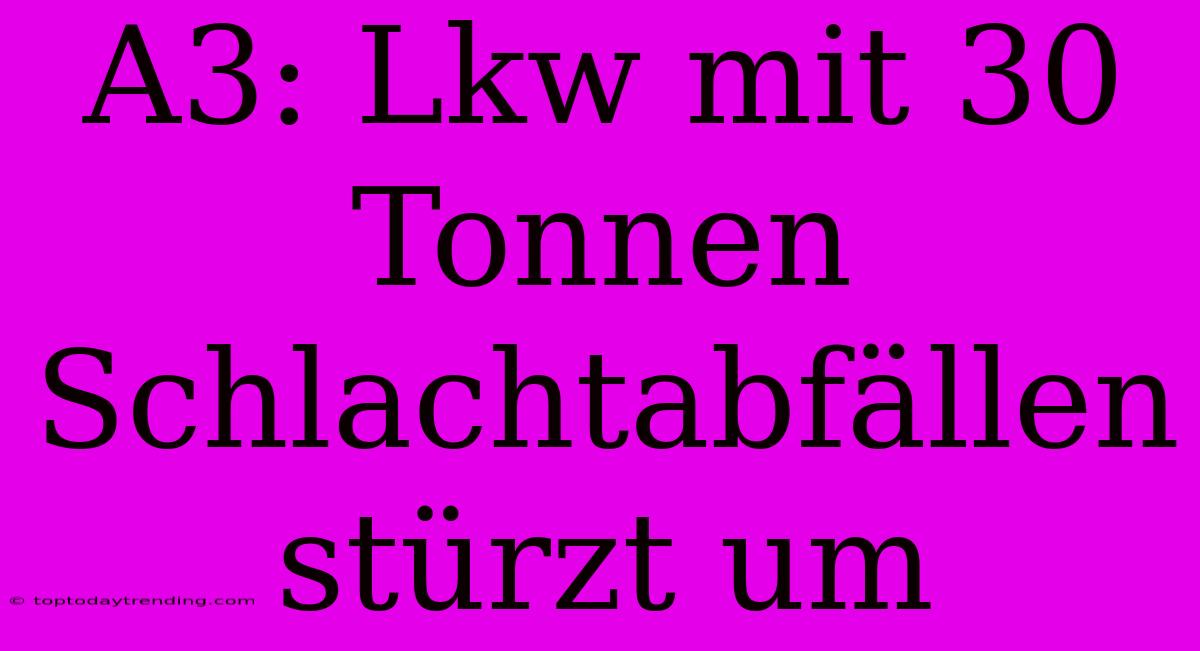 A3: Lkw Mit 30 Tonnen Schlachtabfällen Stürzt Um