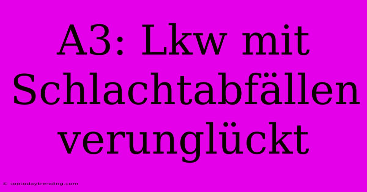 A3: Lkw Mit Schlachtabfällen Verunglückt