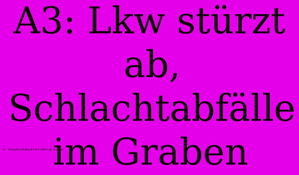 A3: Lkw Stürzt Ab, Schlachtabfälle Im Graben