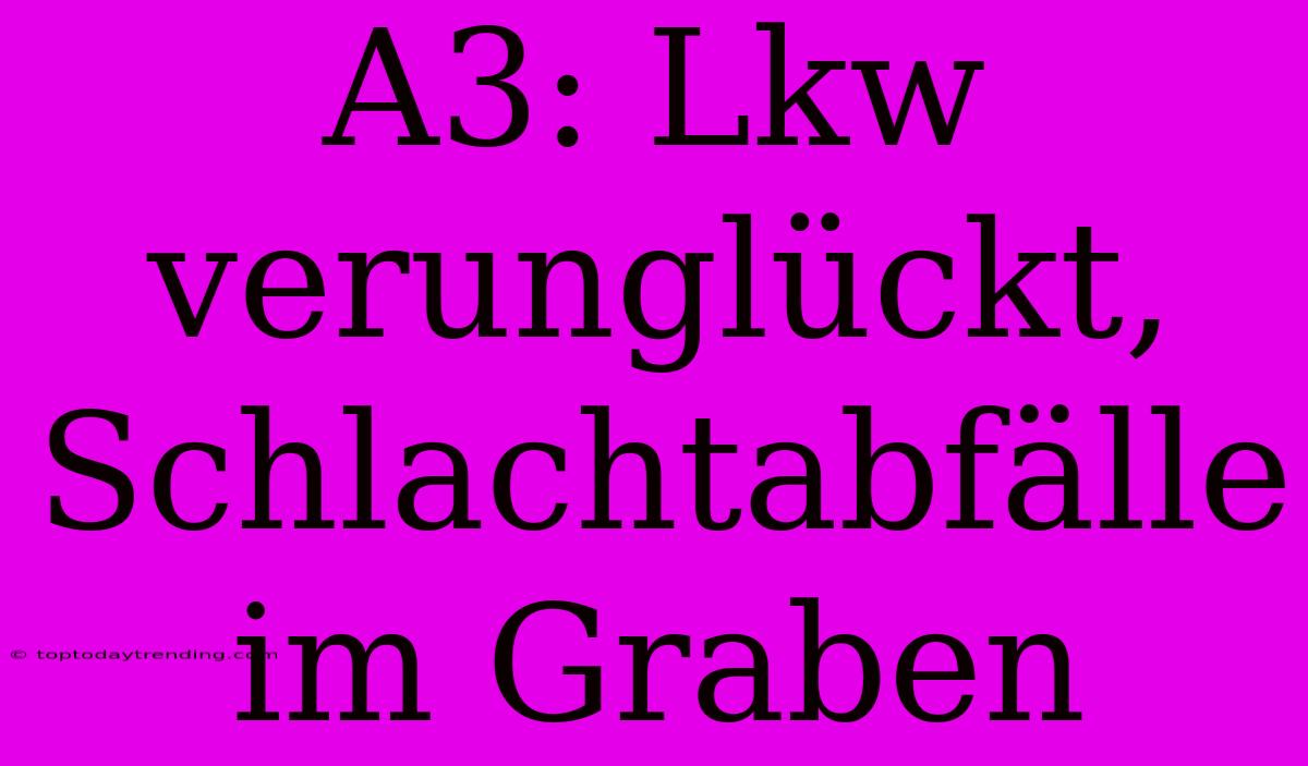 A3: Lkw Verunglückt, Schlachtabfälle Im Graben