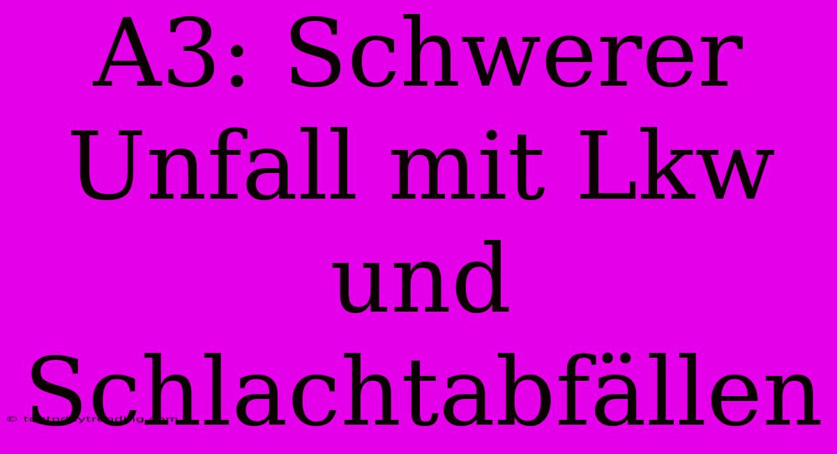 A3: Schwerer Unfall Mit Lkw Und Schlachtabfällen