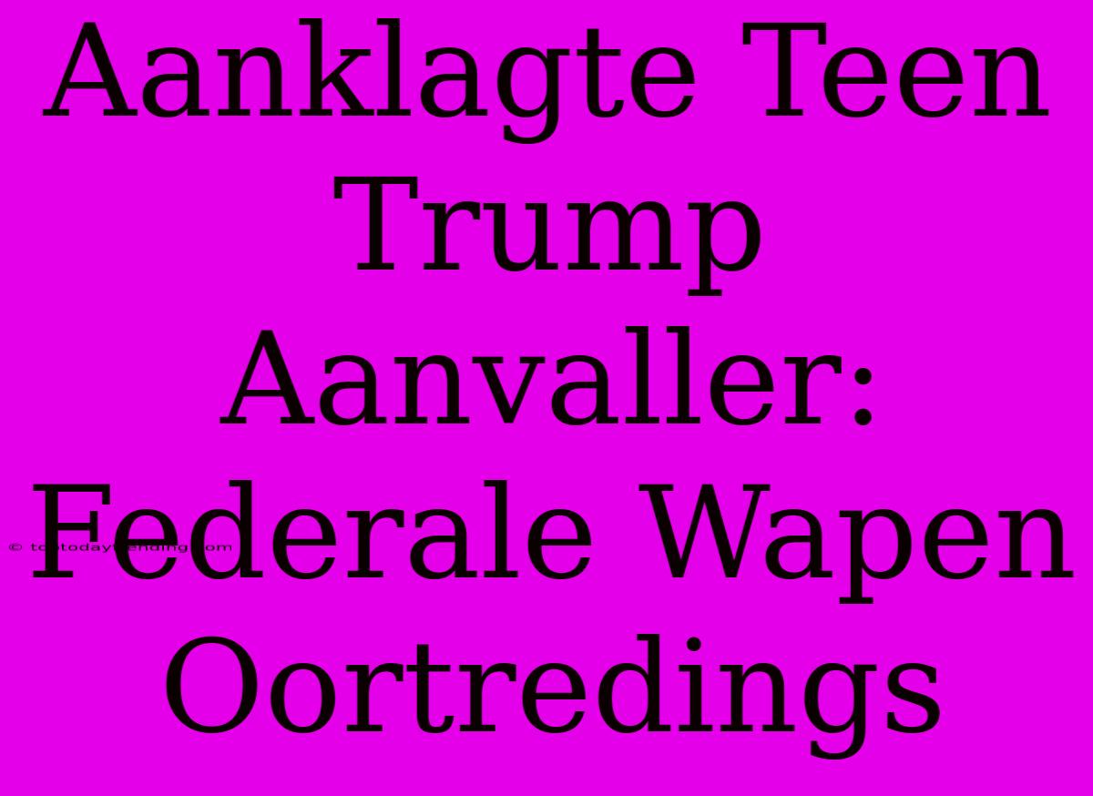 Aanklagte Teen Trump Aanvaller: Federale Wapen Oortredings