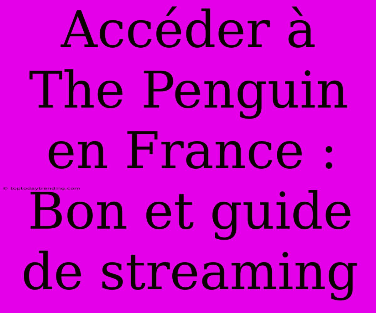 Accéder À The Penguin En France : Bon Et Guide De Streaming