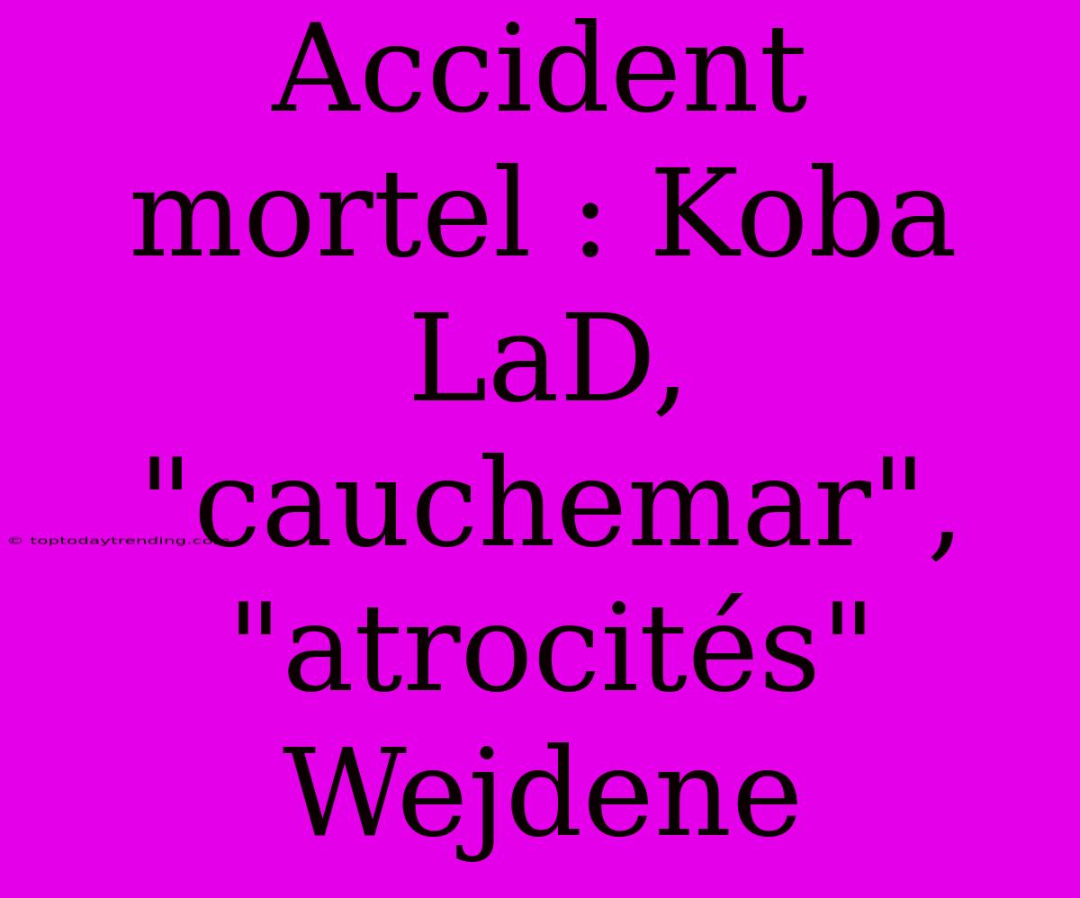 Accident Mortel : Koba LaD, 