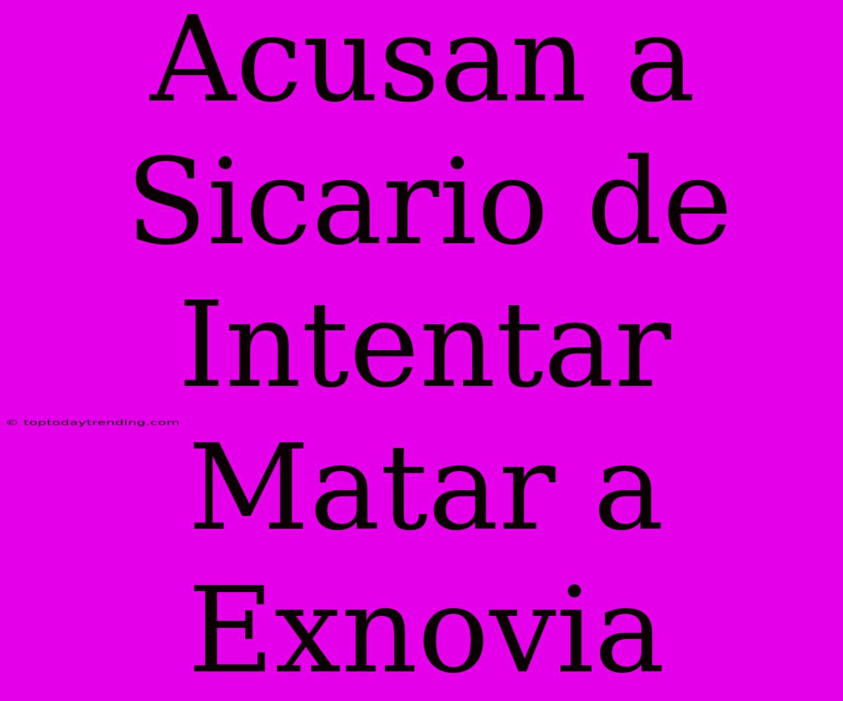 Acusan A Sicario De Intentar Matar A Exnovia