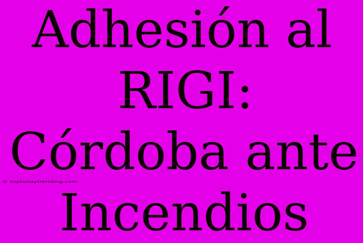 Adhesión Al RIGI: Córdoba Ante Incendios