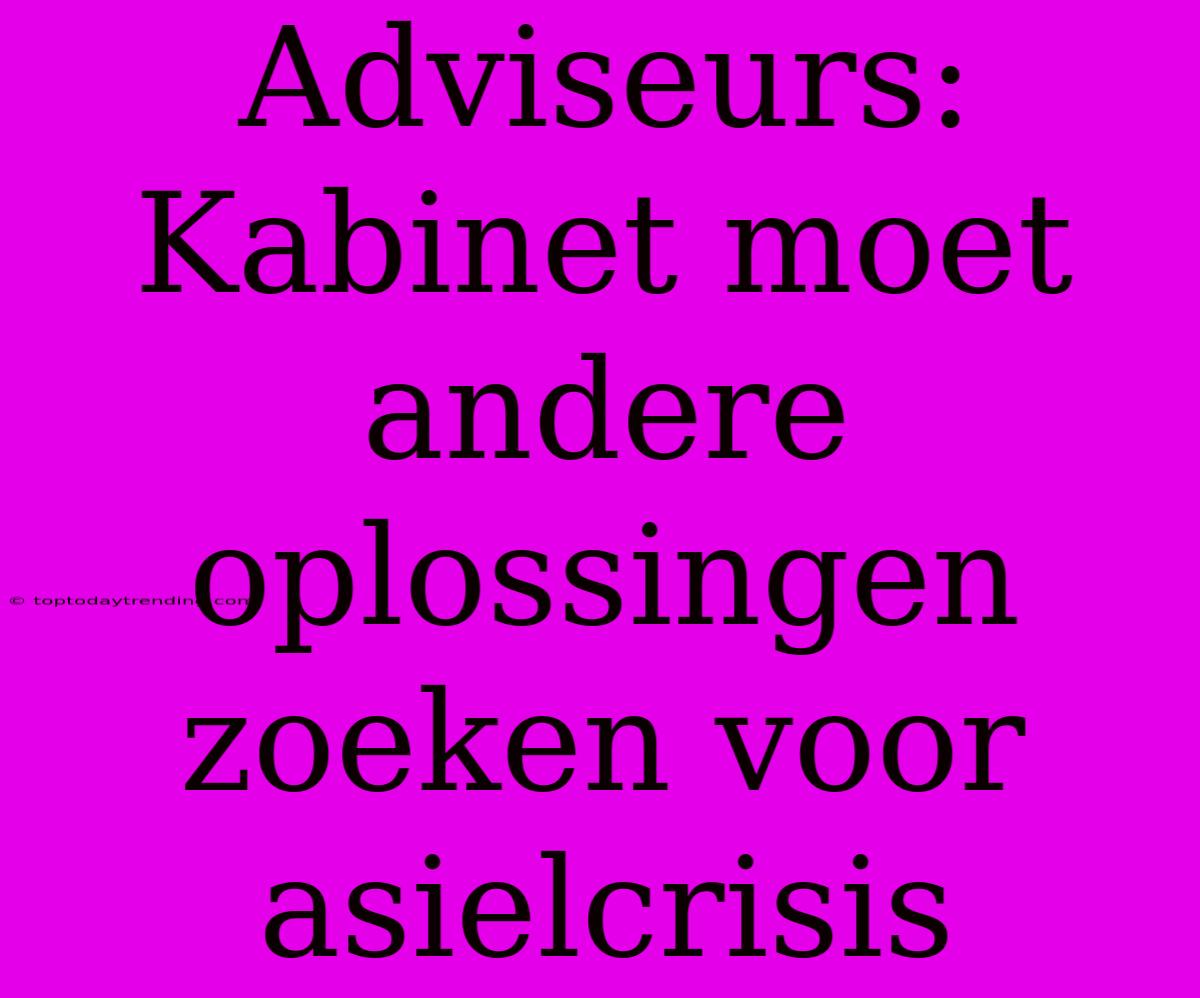 Adviseurs: Kabinet Moet Andere Oplossingen Zoeken Voor Asielcrisis