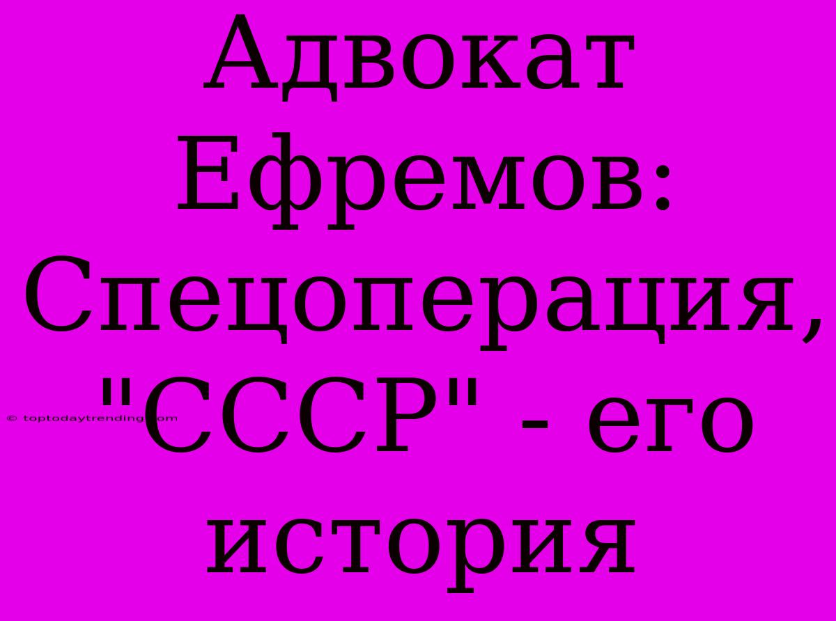 Адвокат Ефремов:  Спецоперация, 