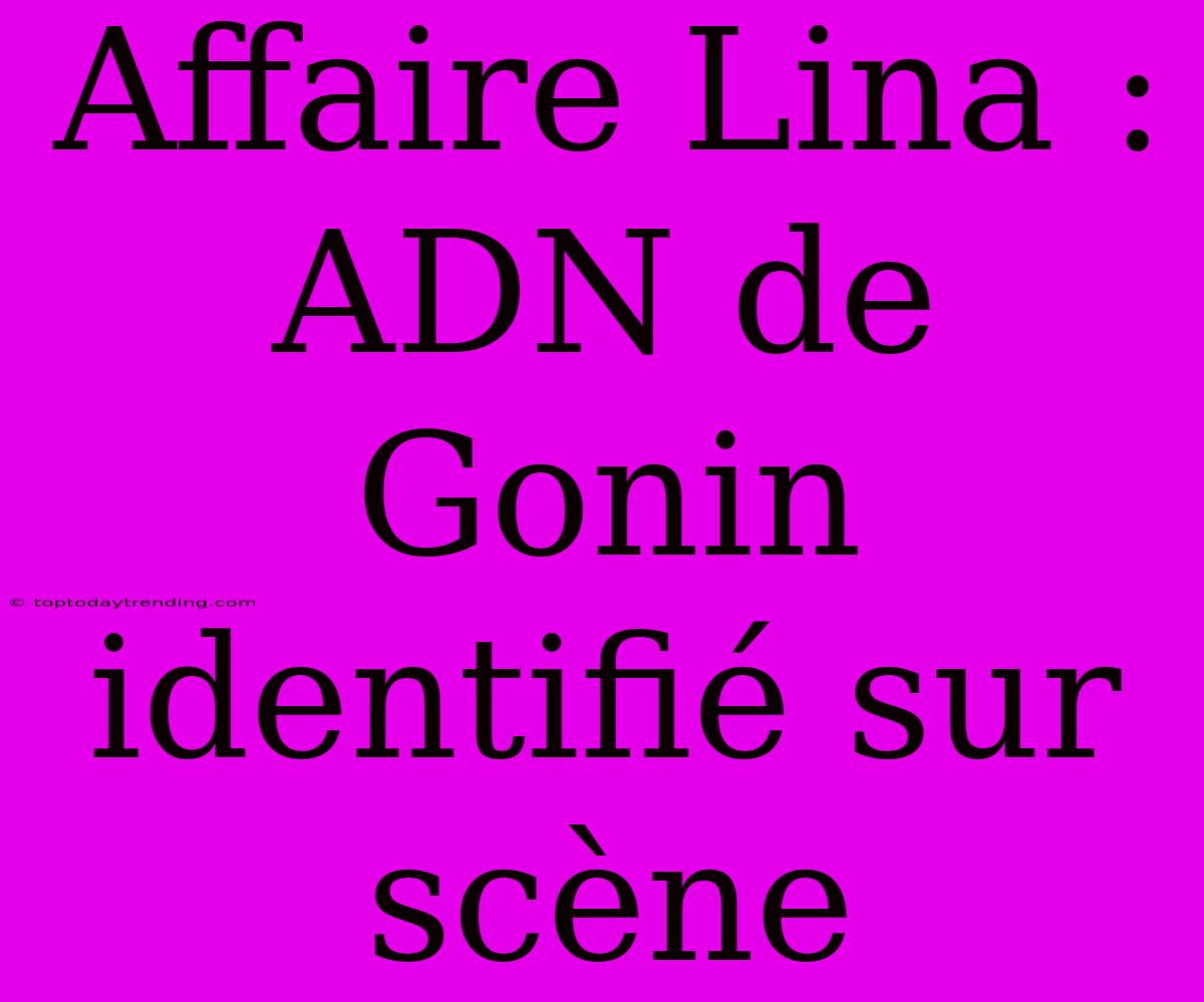 Affaire Lina : ADN De Gonin Identifié Sur Scène