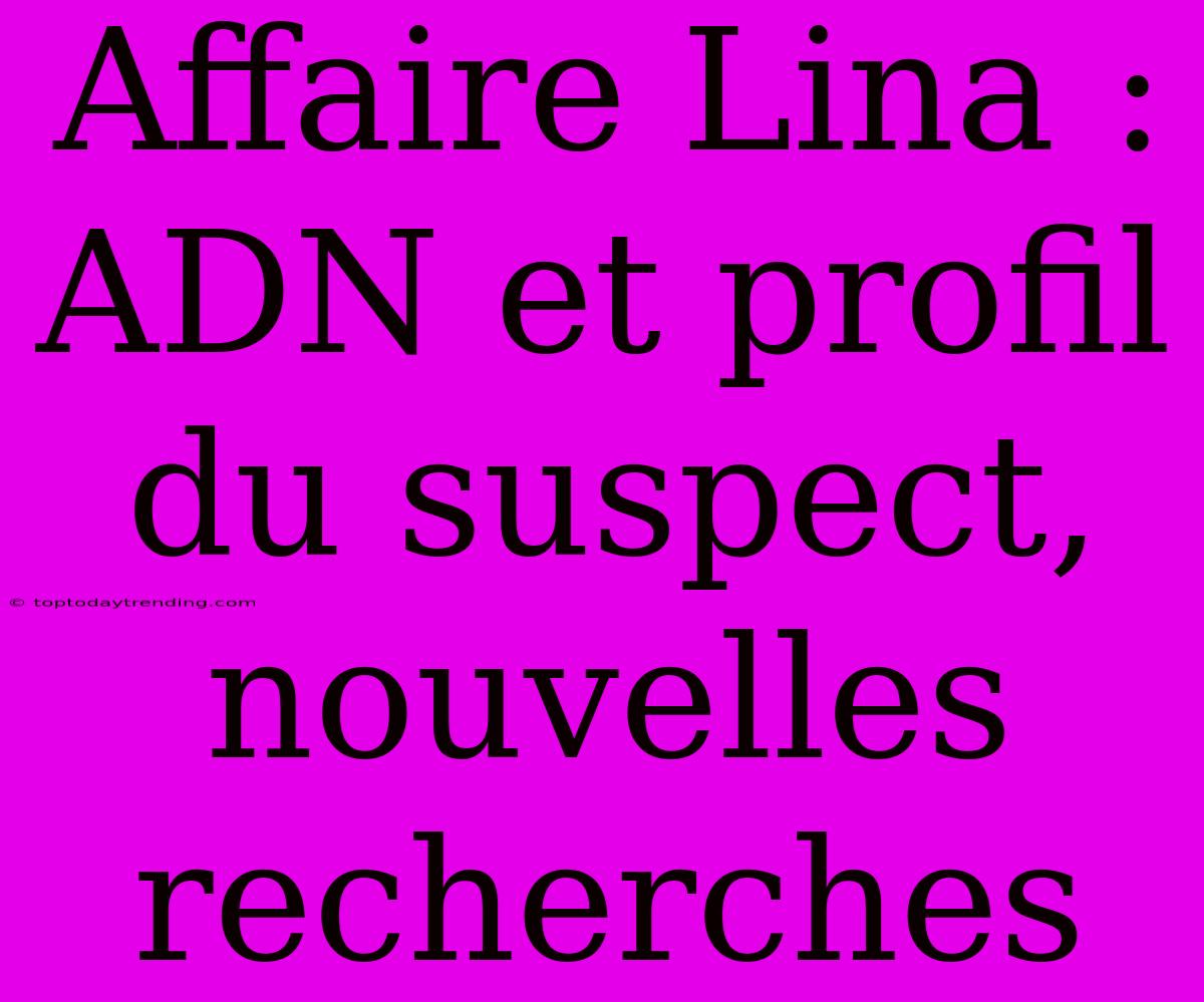 Affaire Lina : ADN Et Profil Du Suspect, Nouvelles Recherches