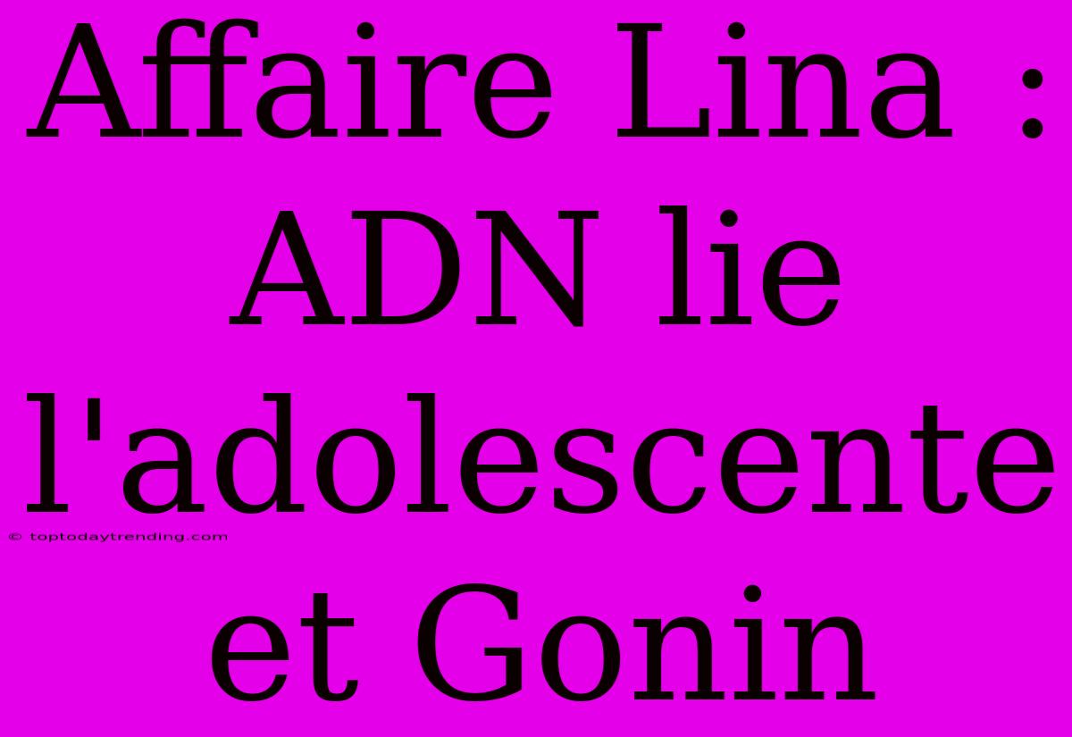 Affaire Lina : ADN Lie L'adolescente Et Gonin