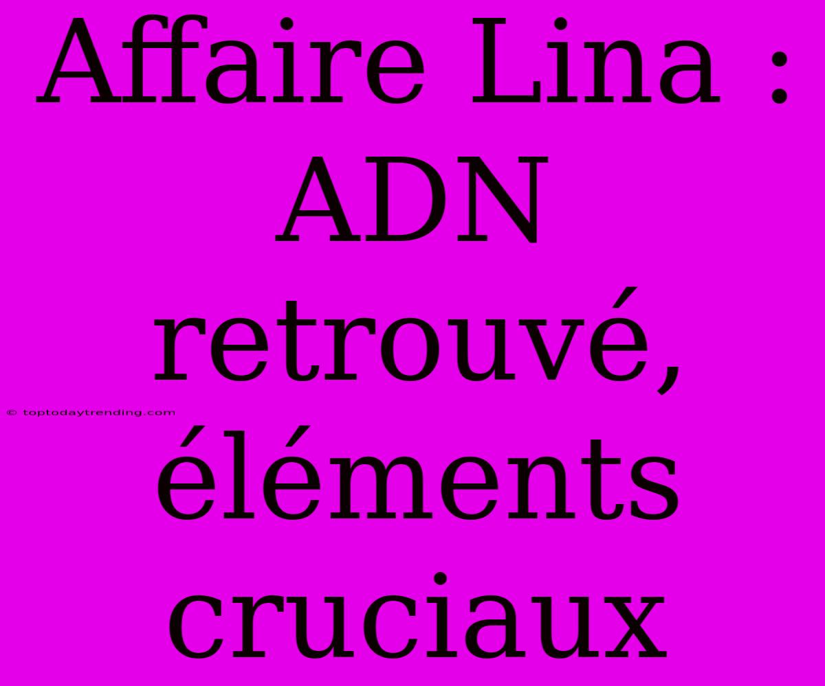 Affaire Lina : ADN Retrouvé, Éléments Cruciaux