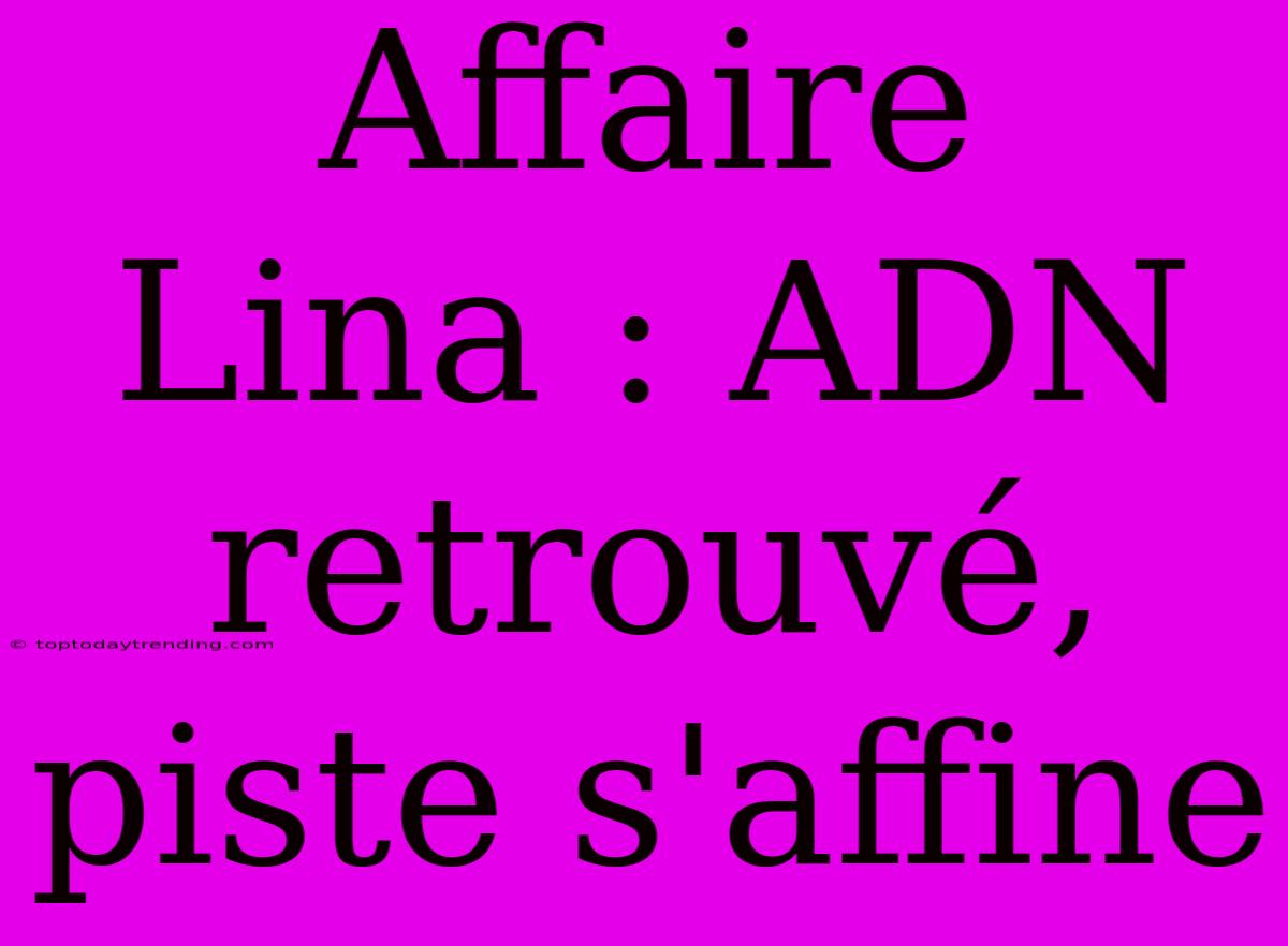 Affaire Lina : ADN Retrouvé, Piste S'affine