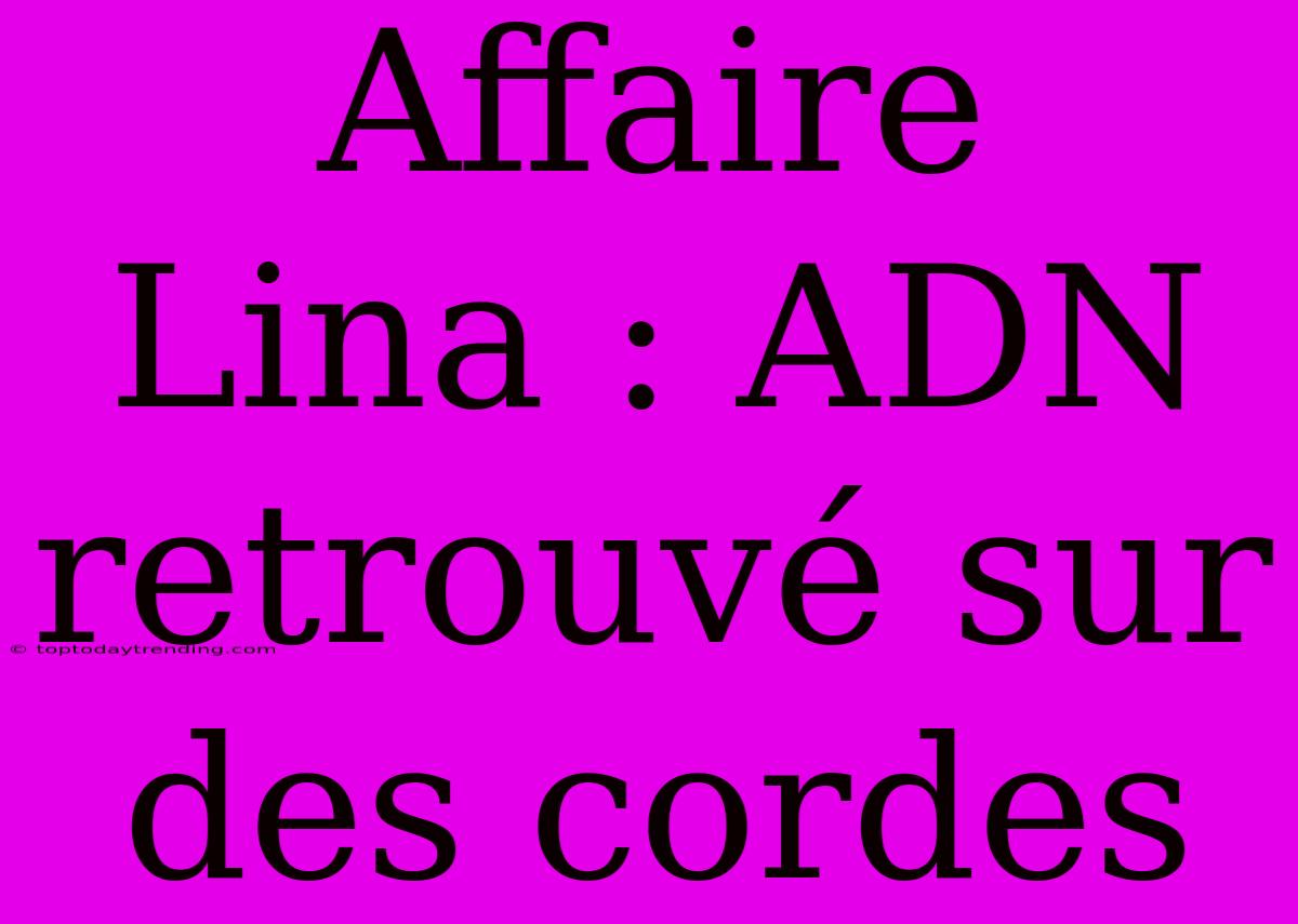 Affaire Lina : ADN Retrouvé Sur Des Cordes