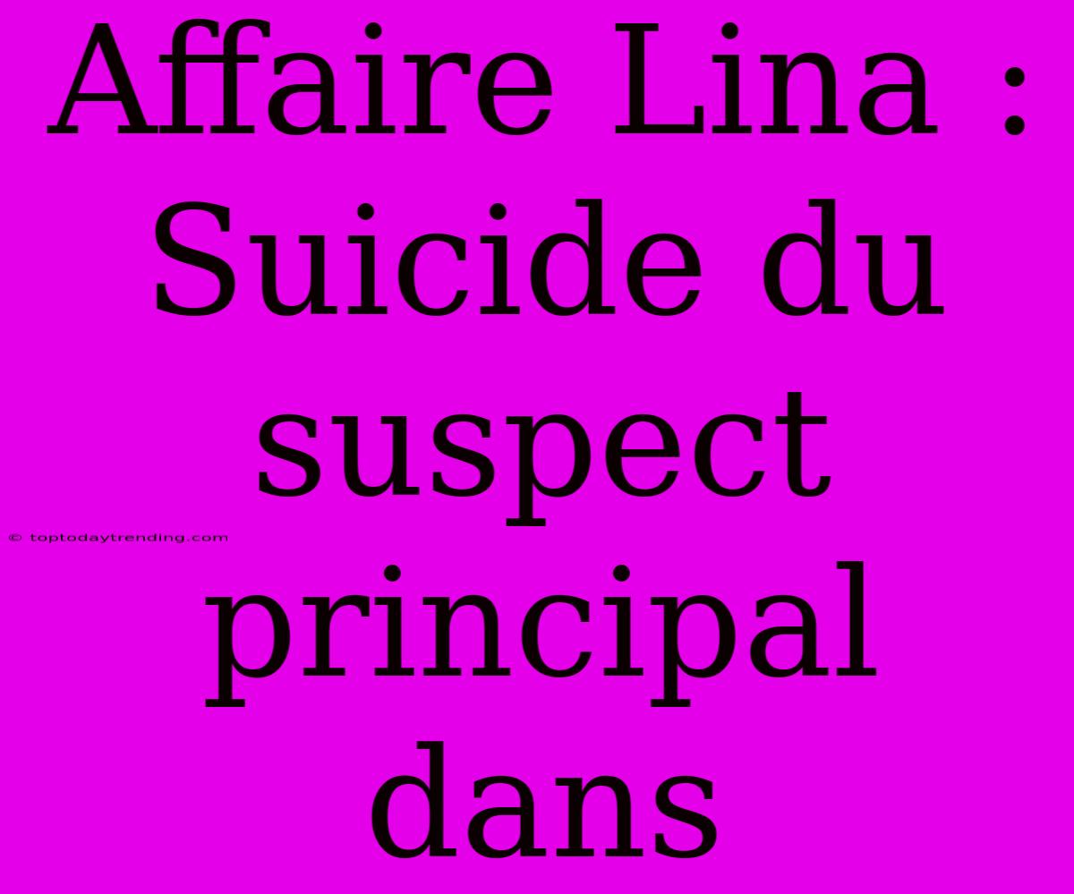 Affaire Lina : Suicide Du Suspect Principal Dans