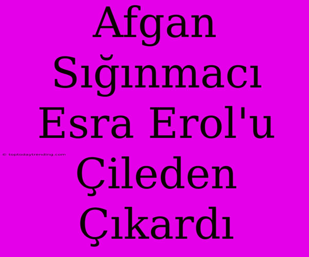 Afgan Sığınmacı Esra Erol'u Çileden Çıkardı