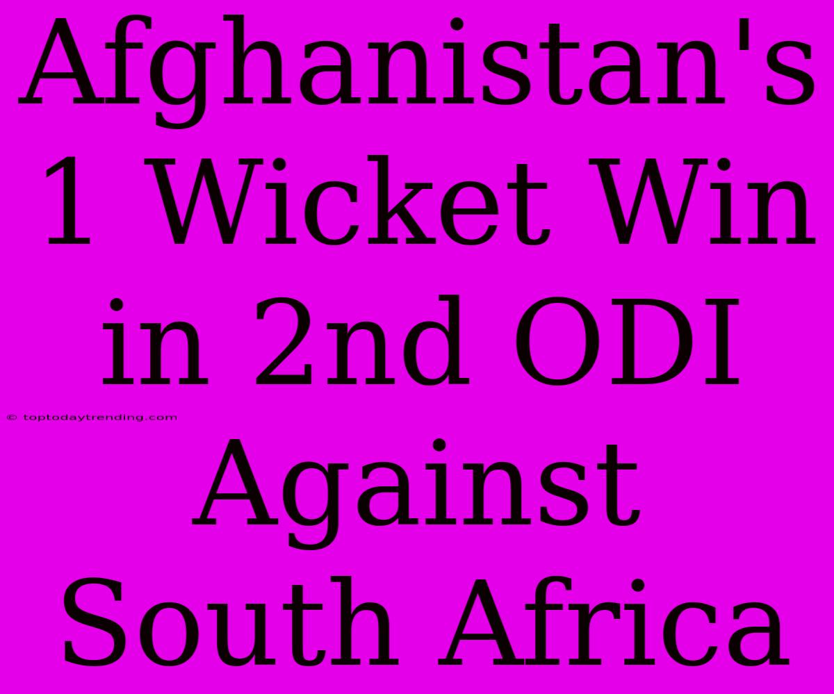 Afghanistan's 1 Wicket Win In 2nd ODI Against South Africa