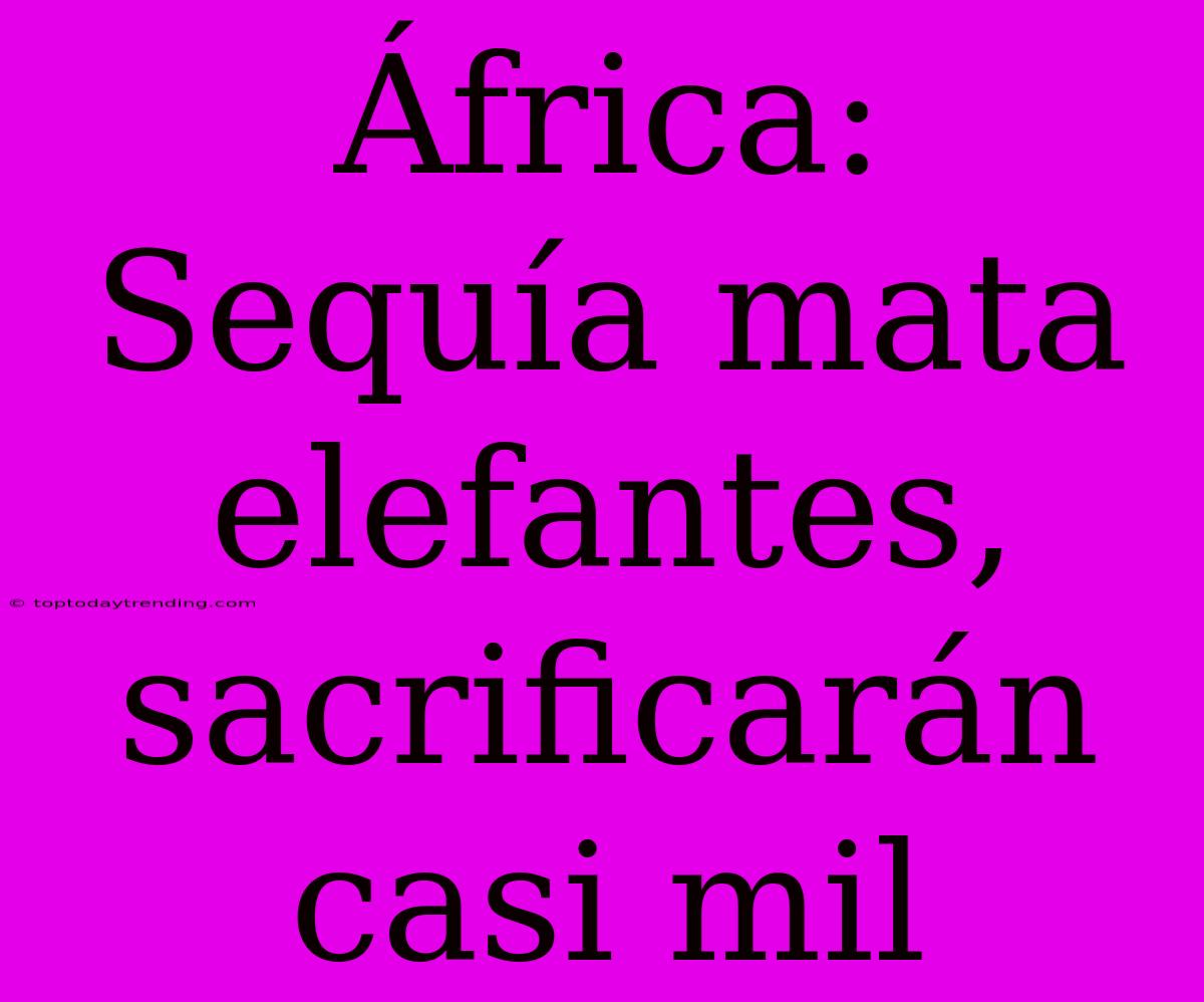 África: Sequía Mata Elefantes, Sacrificarán Casi Mil