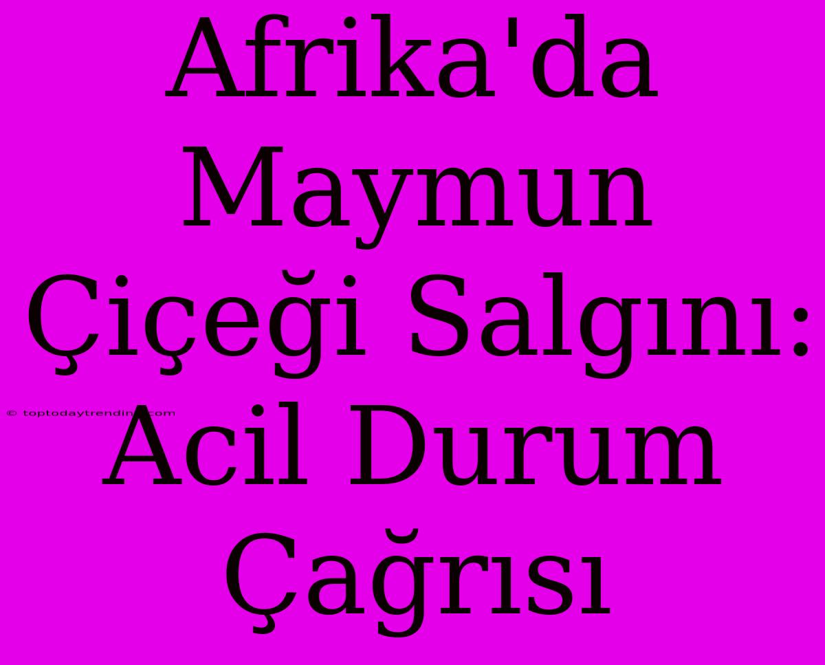 Afrika'da Maymun Çiçeği Salgını: Acil Durum Çağrısı