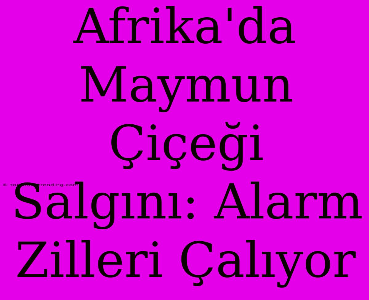 Afrika'da Maymun Çiçeği Salgını: Alarm Zilleri Çalıyor