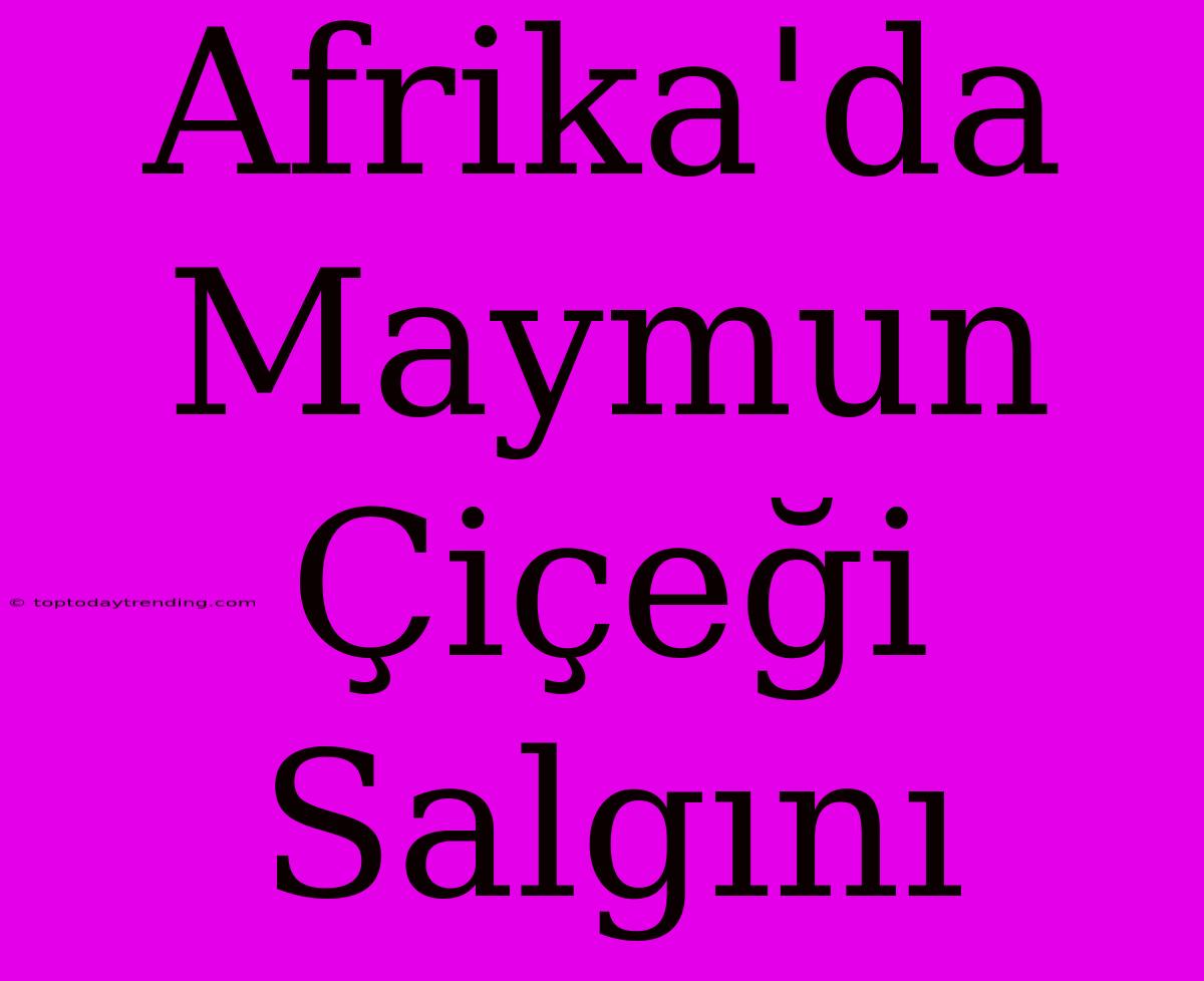 Afrika'da Maymun Çiçeği Salgını