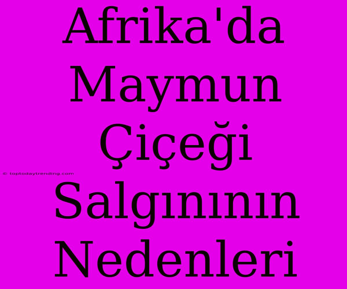 Afrika'da Maymun Çiçeği Salgınının Nedenleri